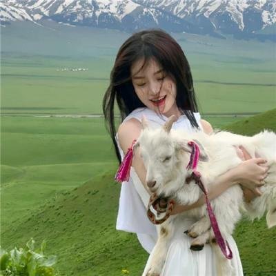 复仇者集结第五季